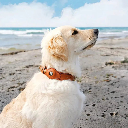 SafeTrack • Premium AirTag Dog Collar