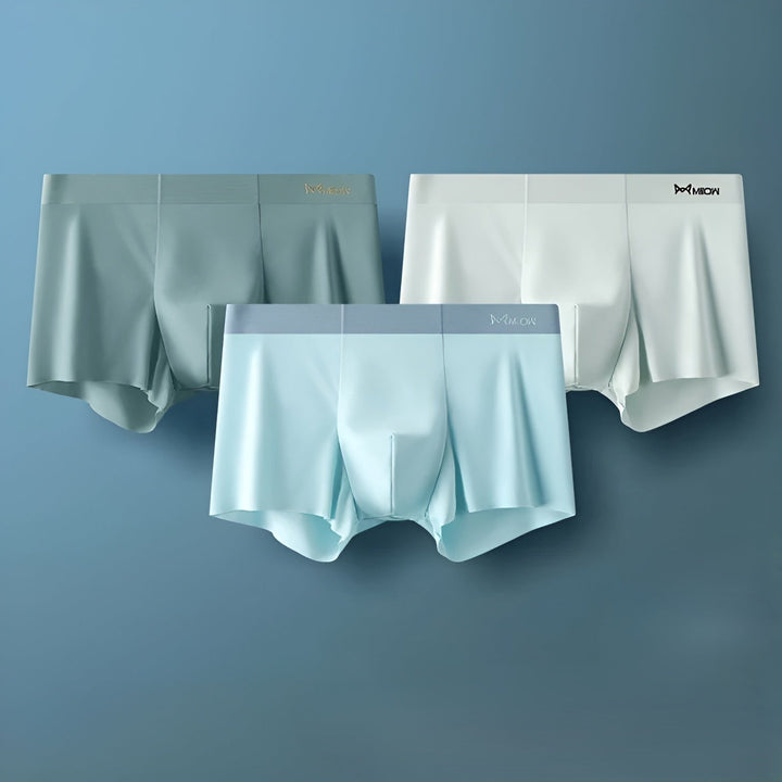 BowLift | Seamless Men's Boxers - Leo