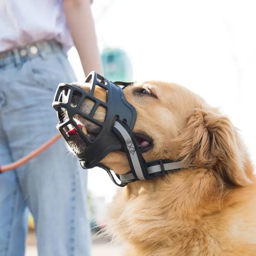 SecureFit • Dog Muzzle - Dog Muzzle - BowLift