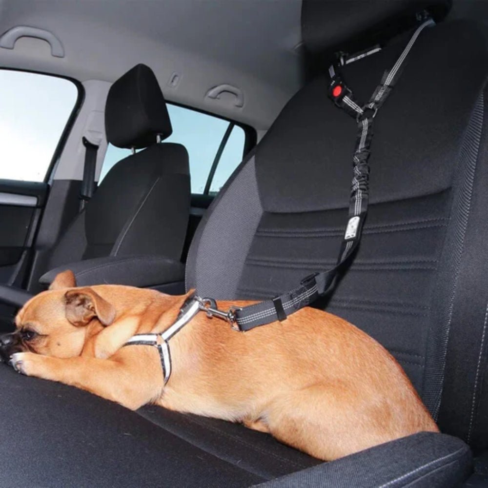 SecureRider • Car Seat Belt - Dog Car Seat Belt - BowLift