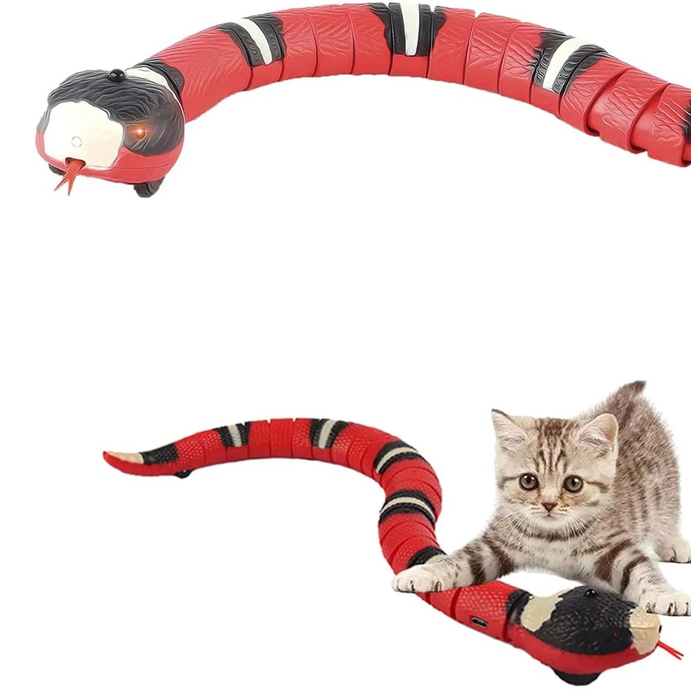 SerpentToy • Snake Cat Toy - Snake Cat Toy - BowLift