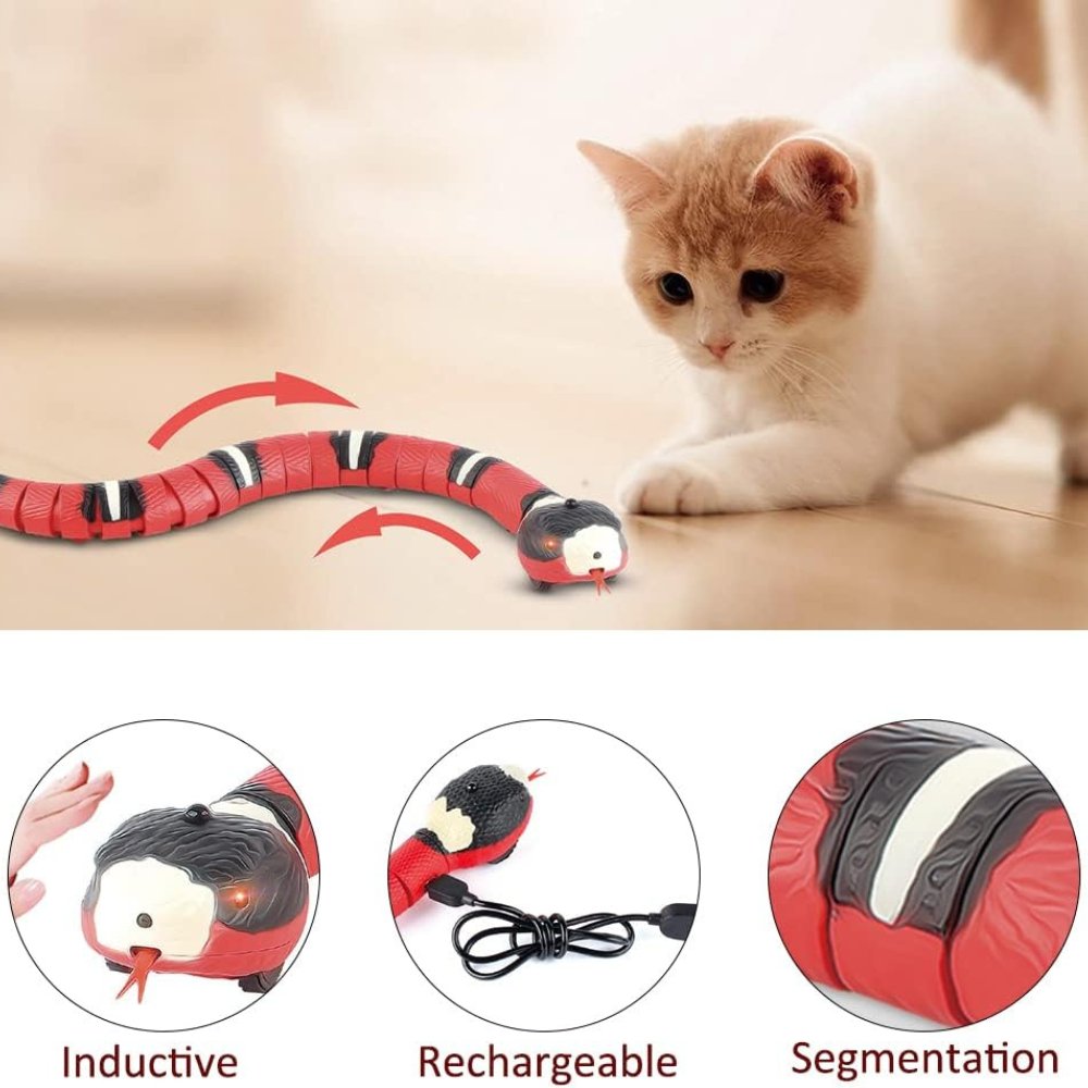 SerpentToy • Snake Cat Toy - Snake Cat Toy - BowLift