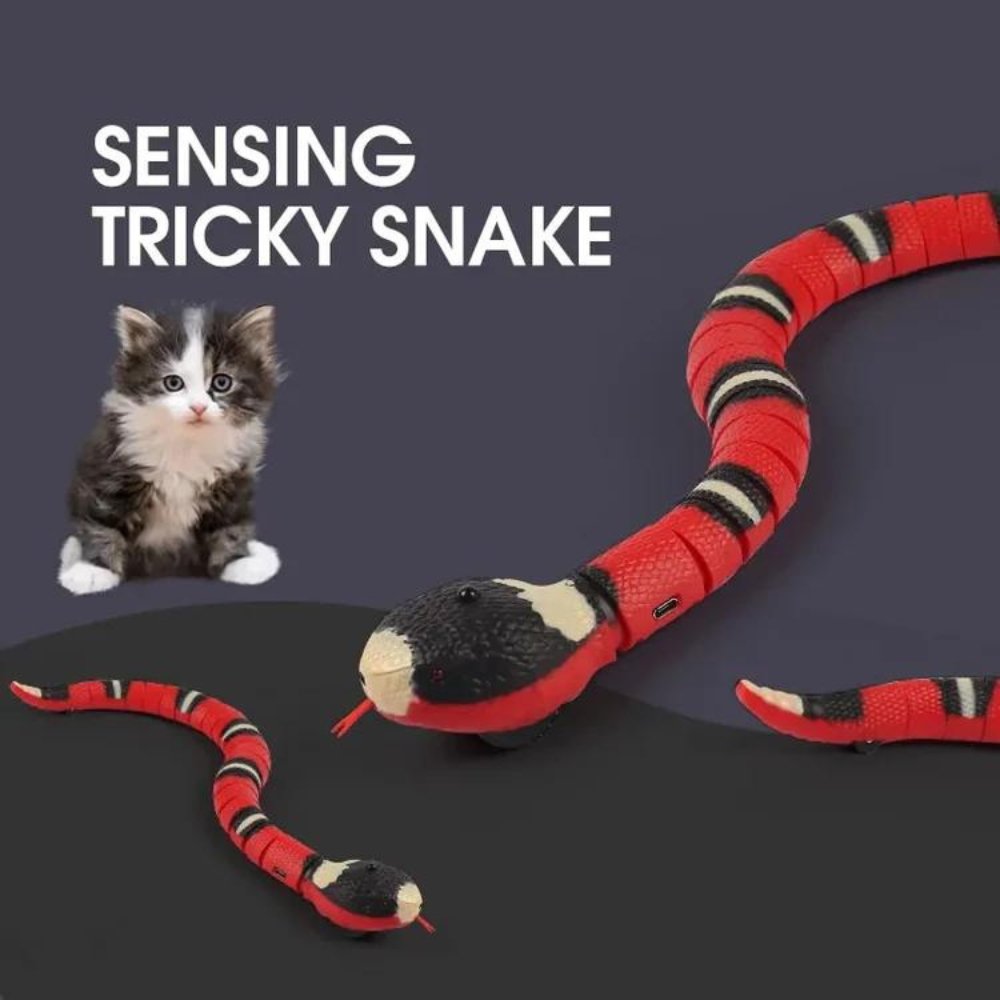 SerpentToy • Snake Cat Toy - Snake Cat Toy - BowLift