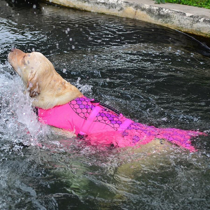 BowLift | Dog's Shark Life Vest