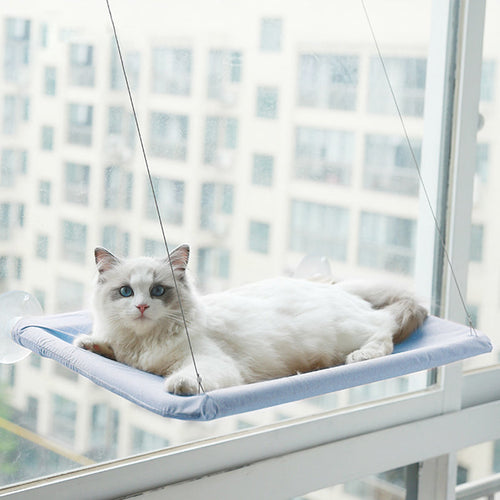 BowLift | Suction Cup Cat Hammock