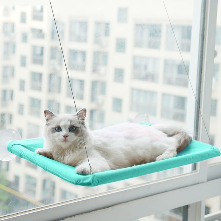 BowLift | Suction Cup Cat Hammock