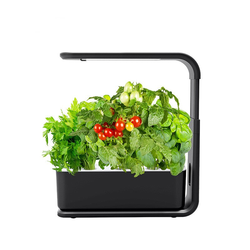 BowLift | Slim Hydroponic Plant System for Indoors - GreenBloom Hydro