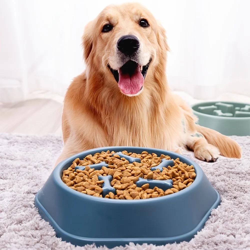 SlowBowl • Dog Feeding Bowl Slow - Dog Feeding Bowl Slow - BowLift