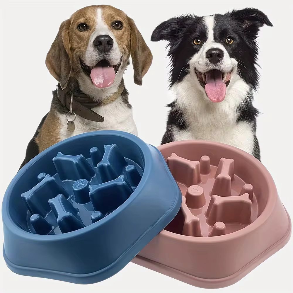 SlowBowl • Dog Feeding Bowl Slow - Dog Feeding Bowl Slow - BowLift