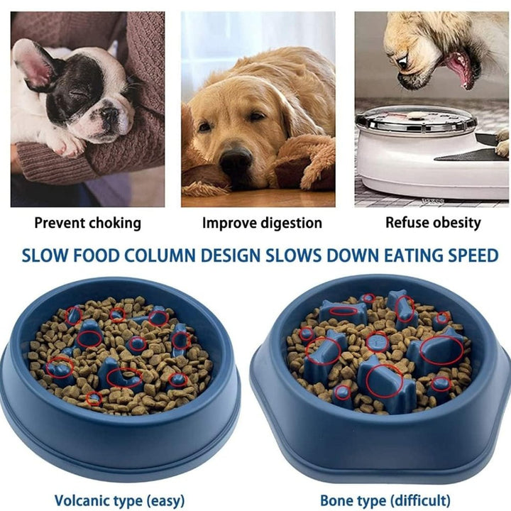 SlowBowl • Dog Feeding Bowl Slow - Dog Feeding Bowl Slow - BowLift
