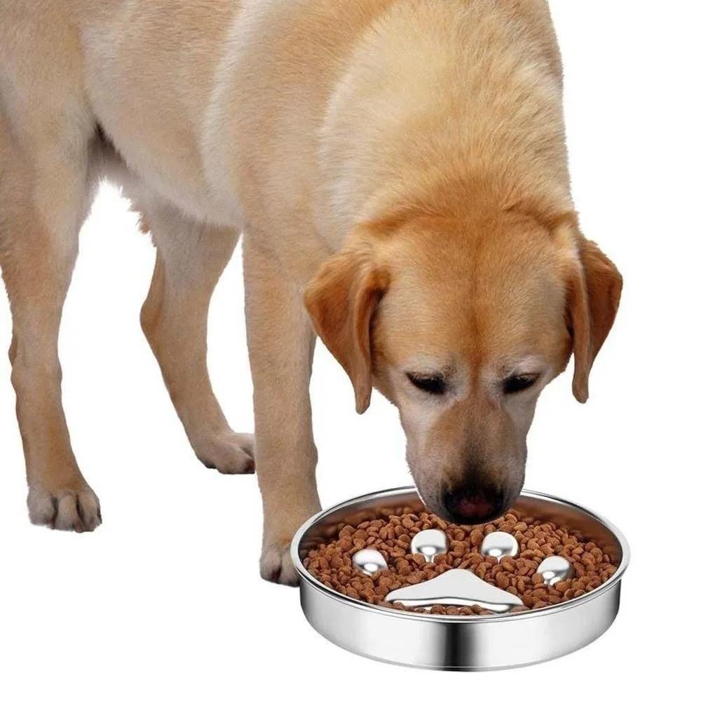 SlowFeast • Dog Feeding Bowl Slow - Dog Feeding Bowl Slow - BowLift