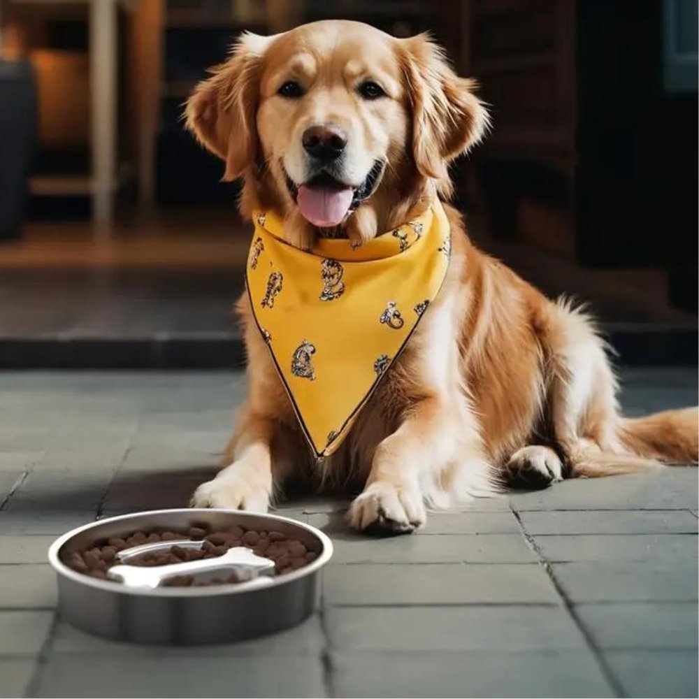 SlowFeed • Dog Feeding Bowl Slow - Dog Feeding Bowl Slow - BowLift