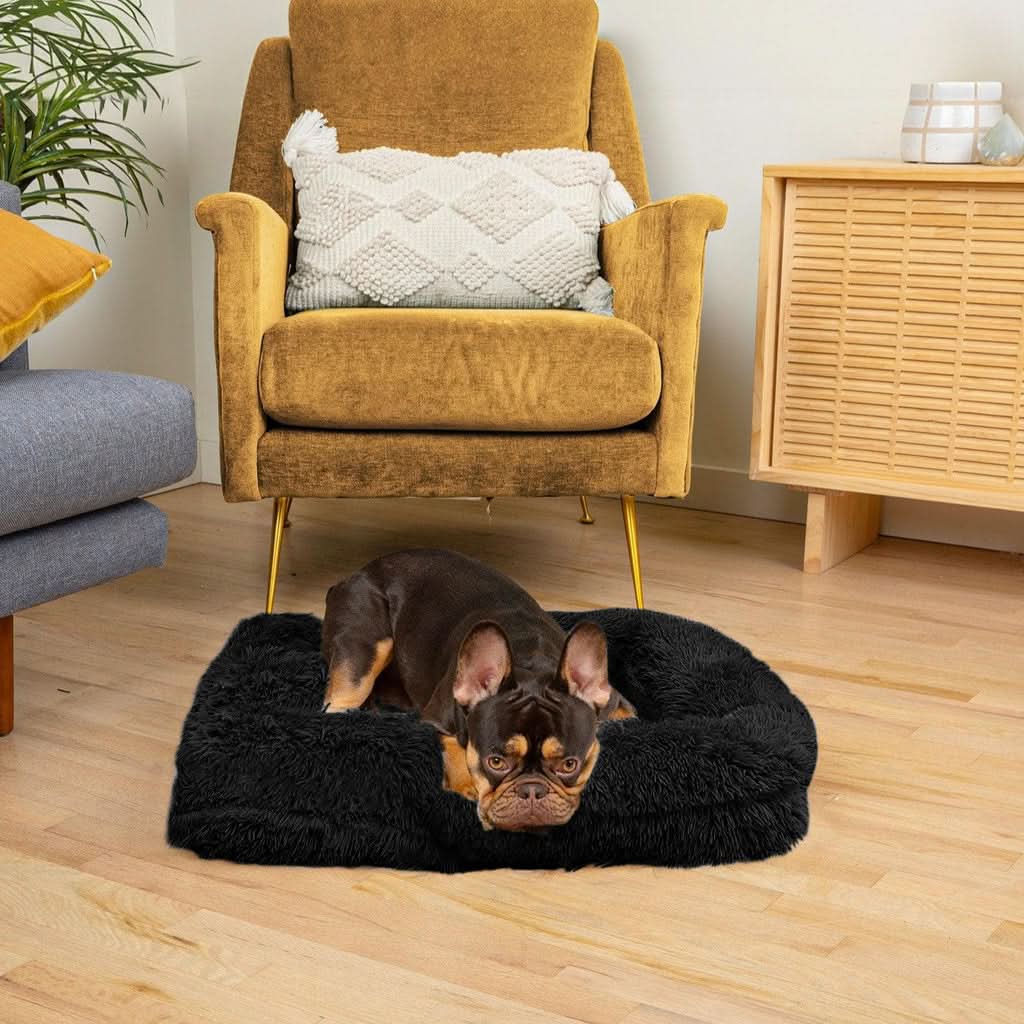 BowLift | SNUGPAW - Orthopedic Dog Bed