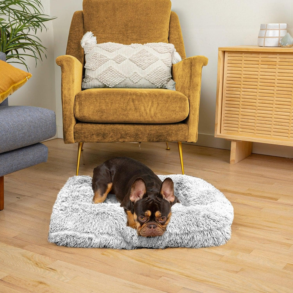 BowLift | SNUGPAW - Orthopedic Dog Bed