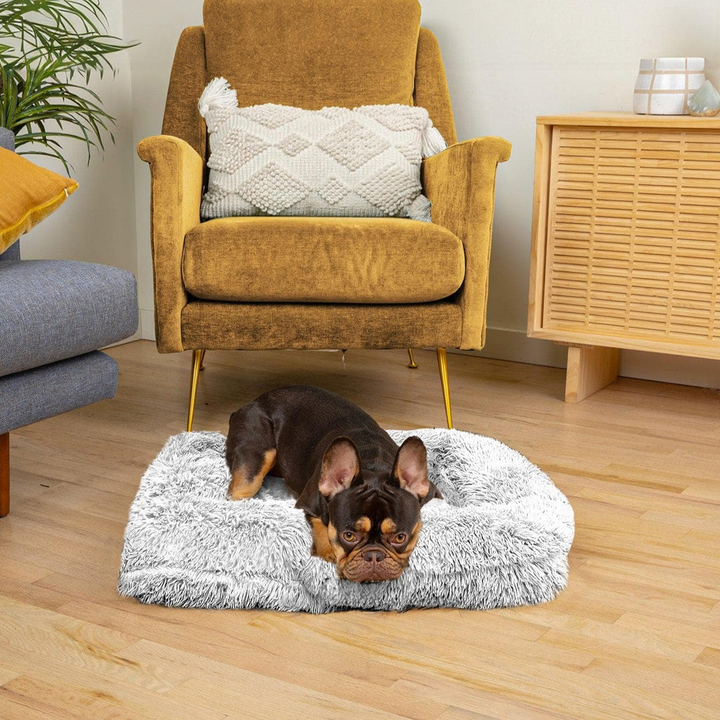BowLift | SNUGPAW - Orthopedic Dog Bed