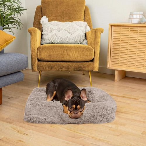 BowLift | SNUGPAW - Orthopedic Dog Bed