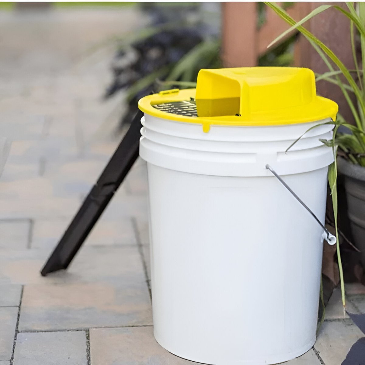 BowLift | SmartCatch Hands-Free Mouse Trap | Safe for Families & Pets, Multiple Capture System for Effective Rodent Control