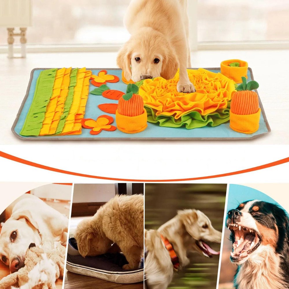 SniffleSeek • Dog Snuffle Mat - Dog Snuffle Mat - BowLift