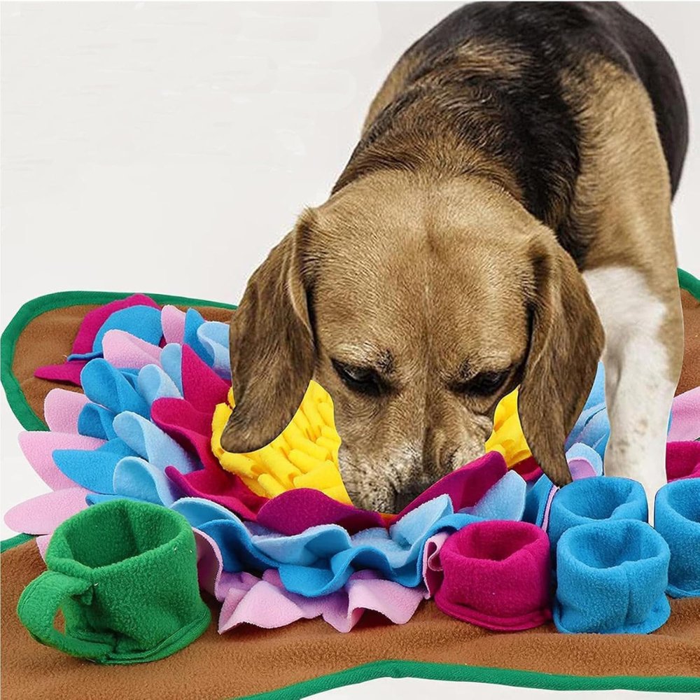 SniffTrainer • Dog Snuffle Mat - Dog Snuffle Mat - BowLift