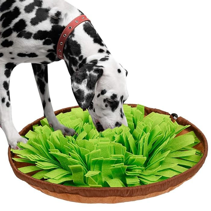 SnuffleMat • Dog Snuffle Mat - Dog Snuffle Mat - BowLift