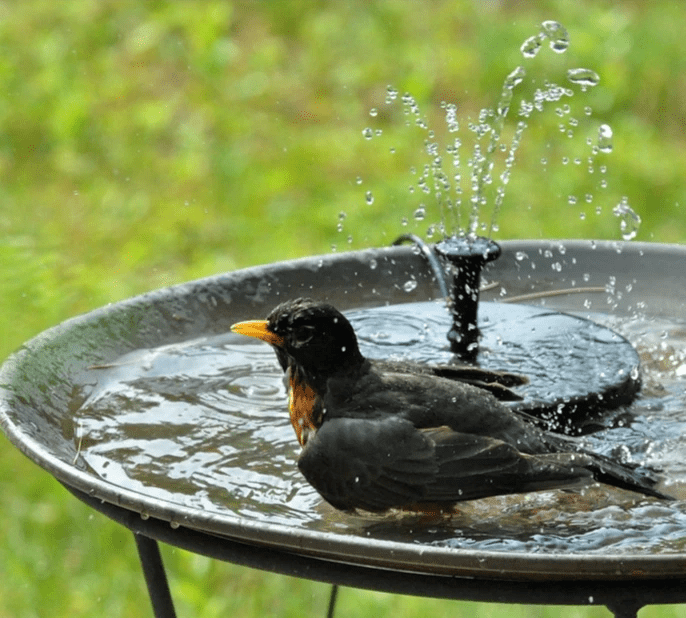 BowLift | ORBITALWATER – Solar Fountain Water Feature with Solar Panel