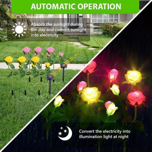 BowLift | Solar LED Roses