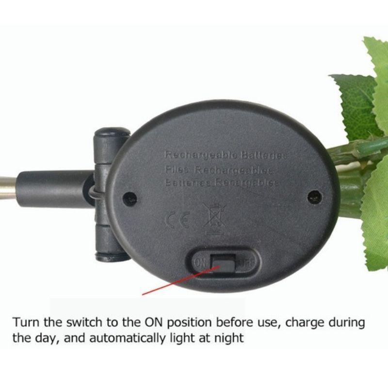 BowLift | Solar LED Roses