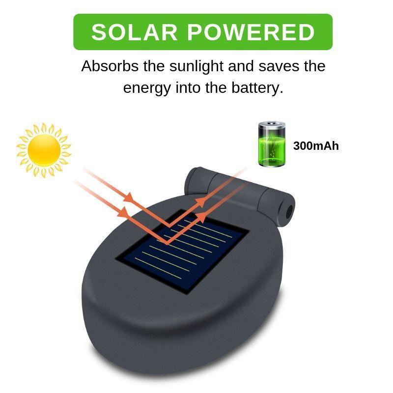 BowLift | Solar LED Roses
