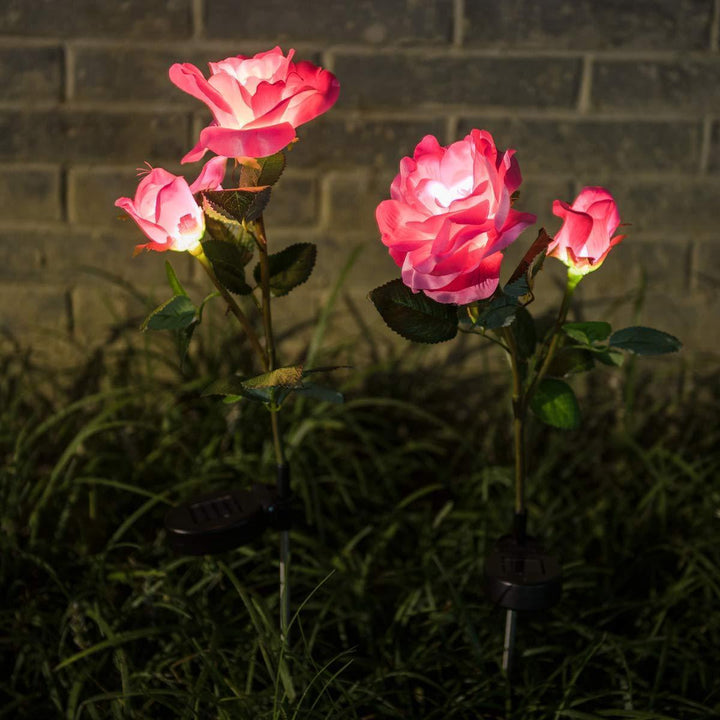 BowLift | Solar LED Roses