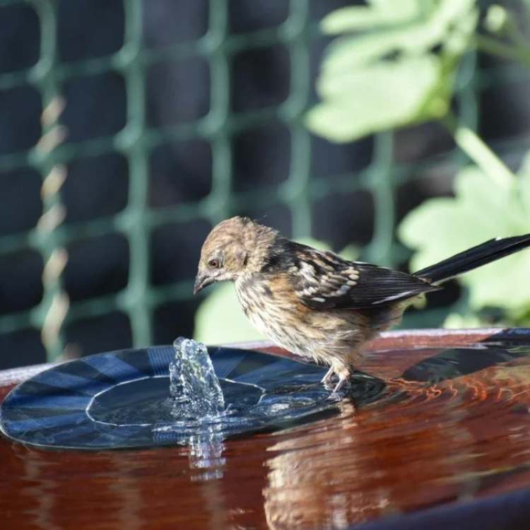 BowLift | Solar-Powered Water Fountain | Effortless Installation & Multiple Spray Patterns for Garden Ponds and Birdbaths