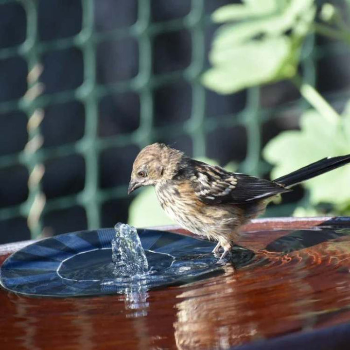 BowLift | Solar-Powered Water Fountain | Effortless Installation & Multiple Spray Patterns for Garden Ponds and Birdbaths