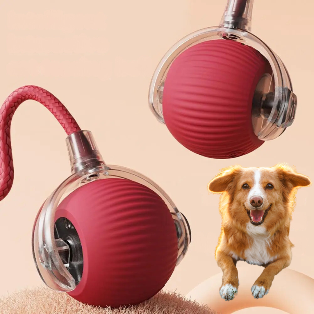 BowLift | Interactive Rolling Ball Toy with Tail for Dogs