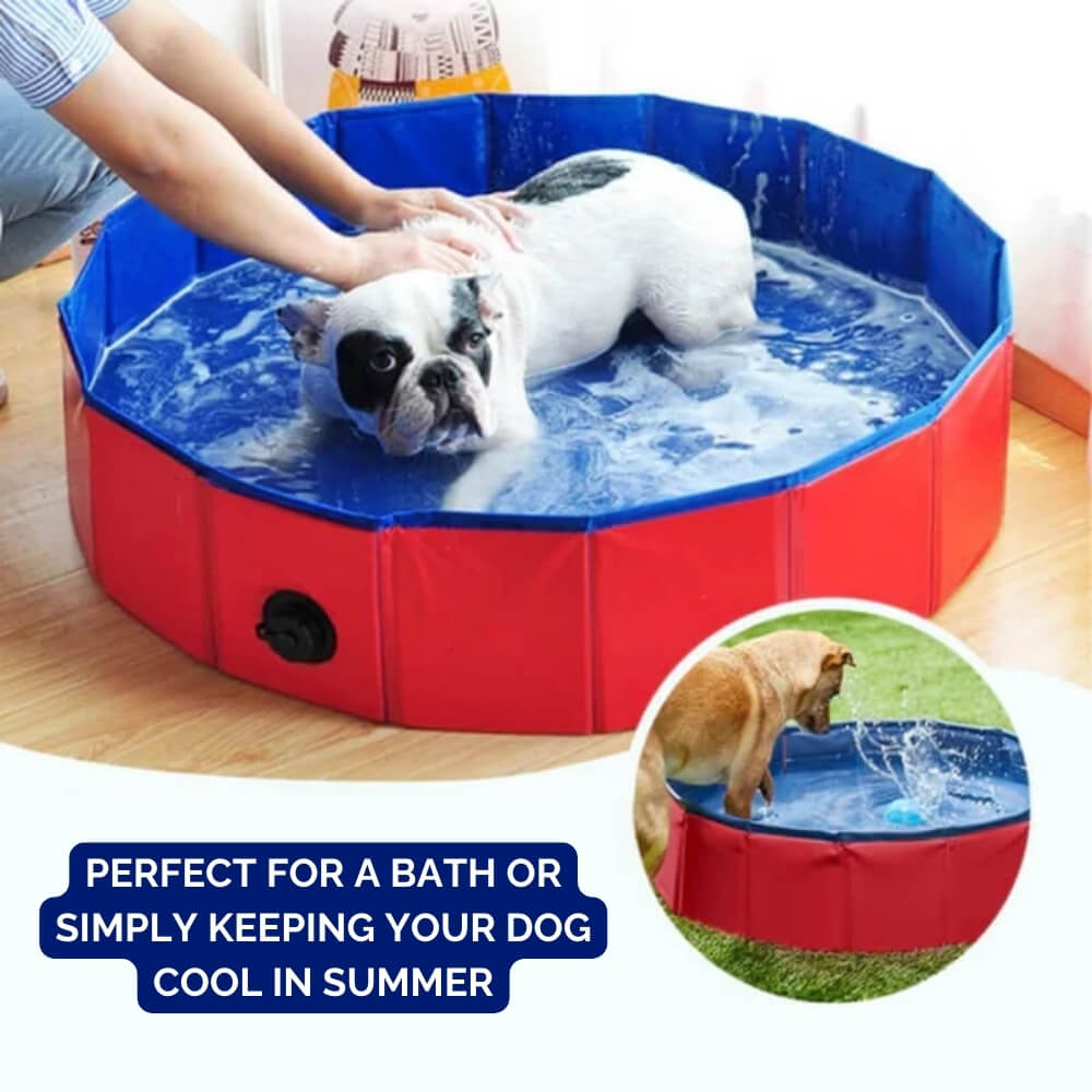 SplashZone • Dog Pool - Dog Pool - BowLift