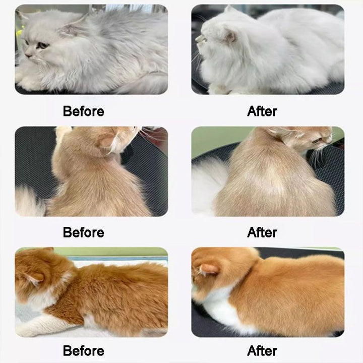 BowLift | Pet Shiny and Smooth Hair Care Conditioner