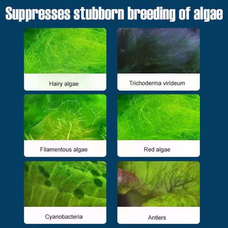 BowLift | Fish Tank Water Purifier Algae Remover