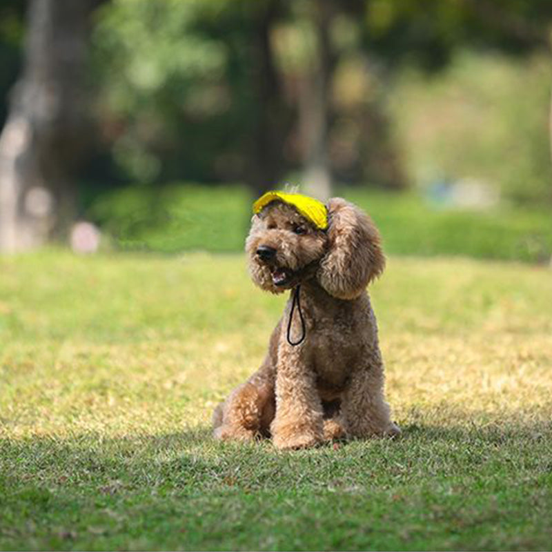 BowLift | Dog hat