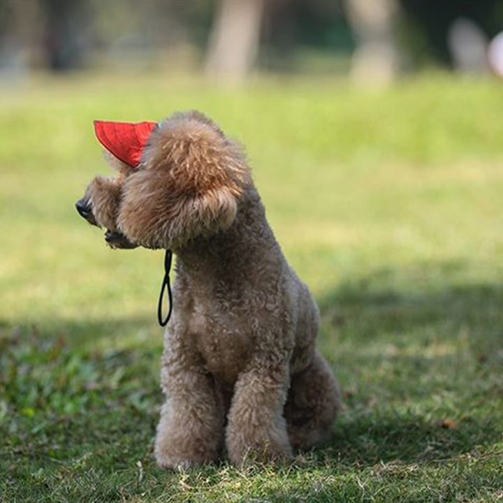 BowLift | Dog hat