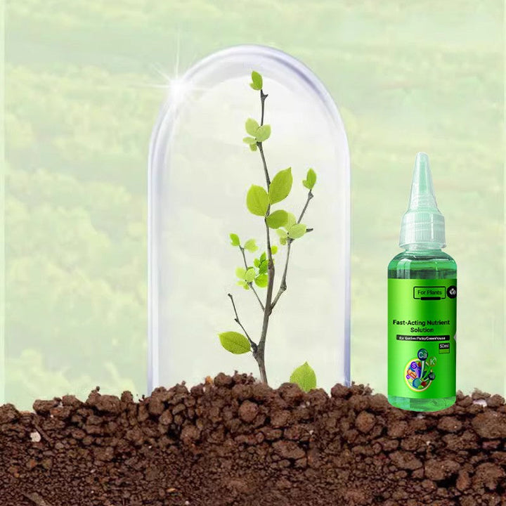 BowLift | Fast-Acting Nutrient Solution for Plants