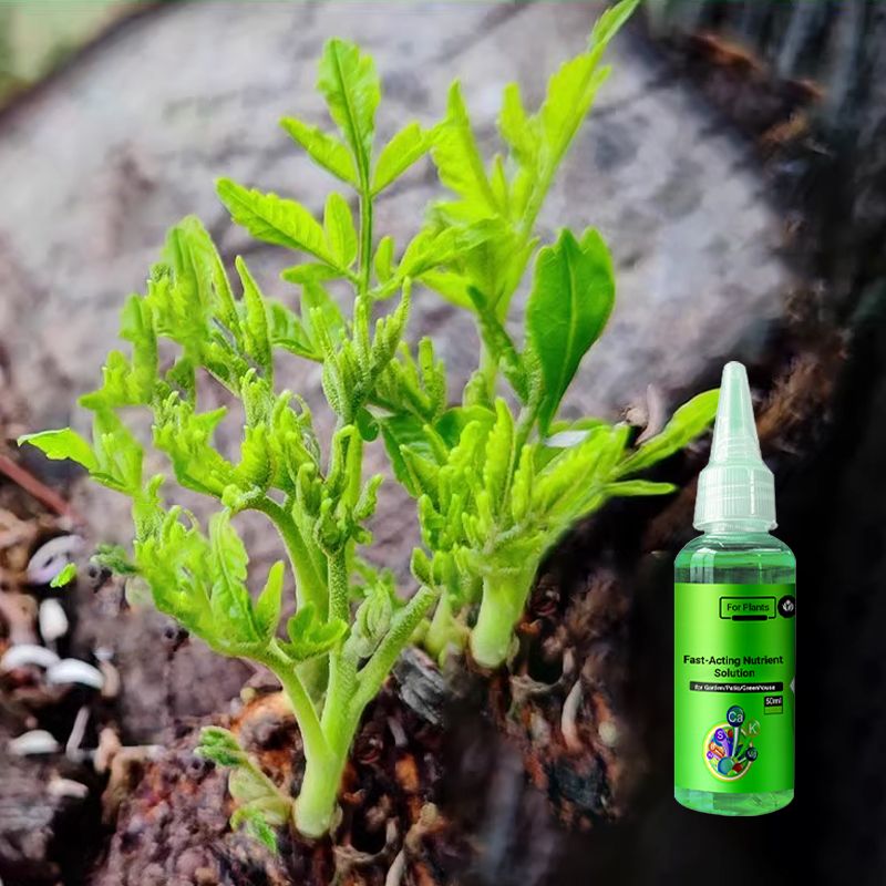 BowLift | Fast-Acting Nutrient Solution for Plants