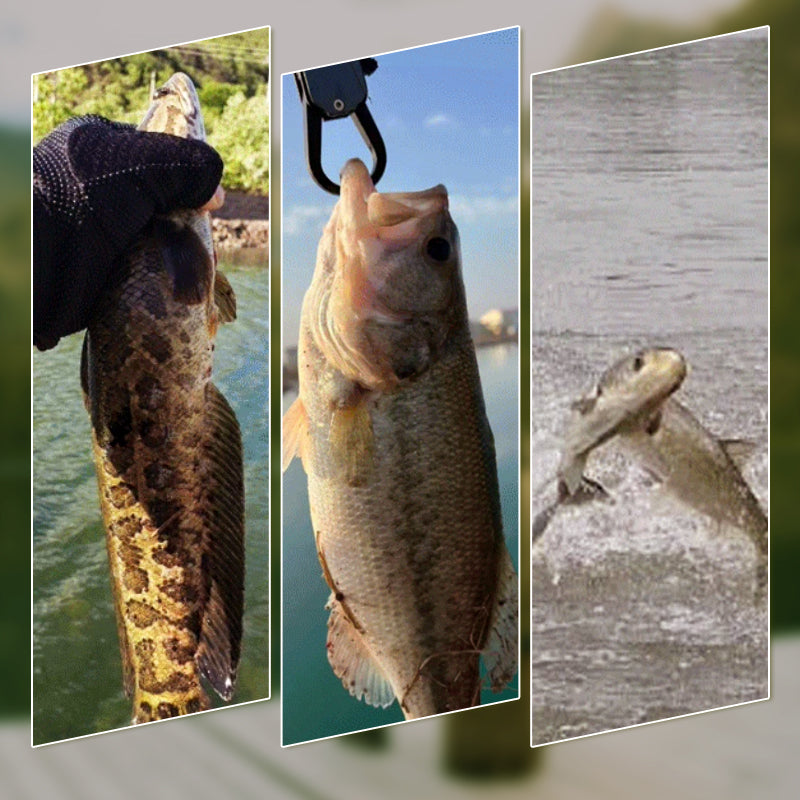 BowLift | Realistic 3D floating fishing lure set with 3 hooks