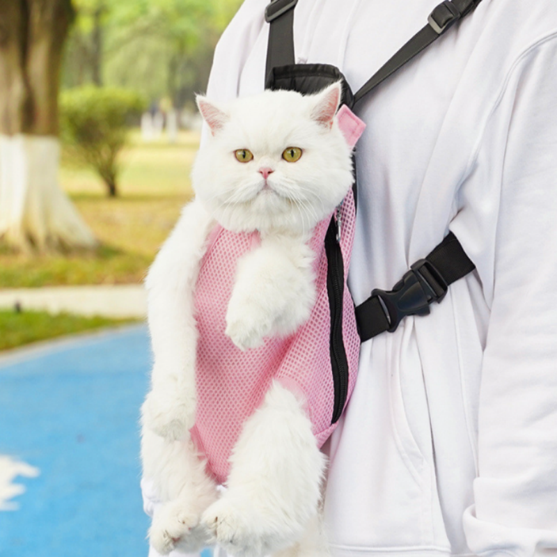 BowLift | FellFreund TravelBuddy – The comfort backpack for on the go