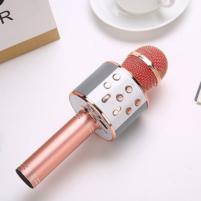 Wireless Karaoke Microphone with Bluetooth | Bowlift