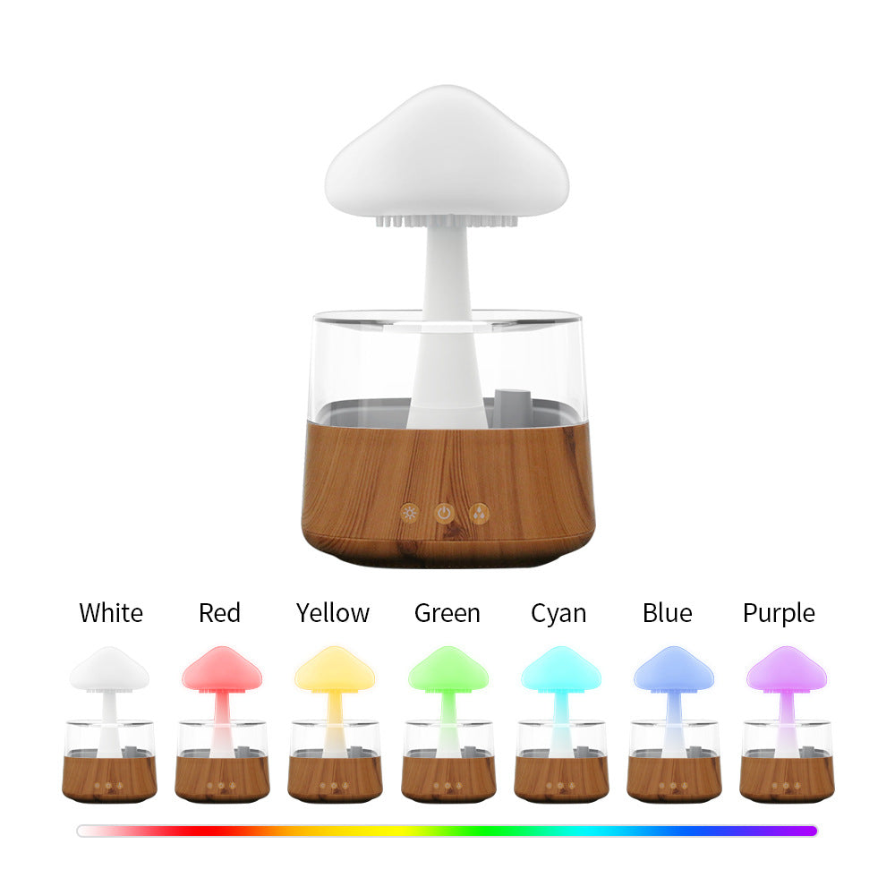 BowLift | Rain Cloud humidifier