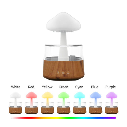 BowLift | Rain Cloud humidifier