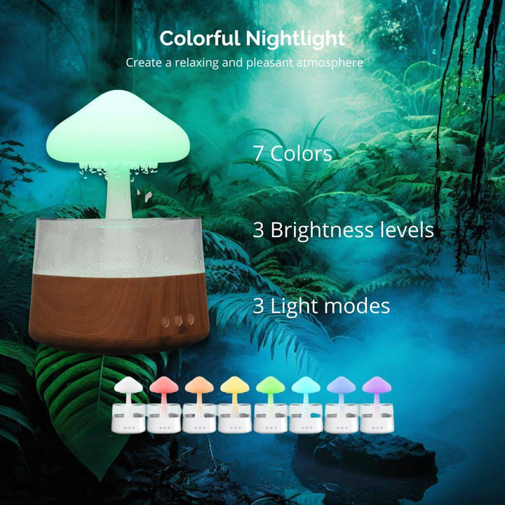 BowLift | Rain Cloud humidifier
