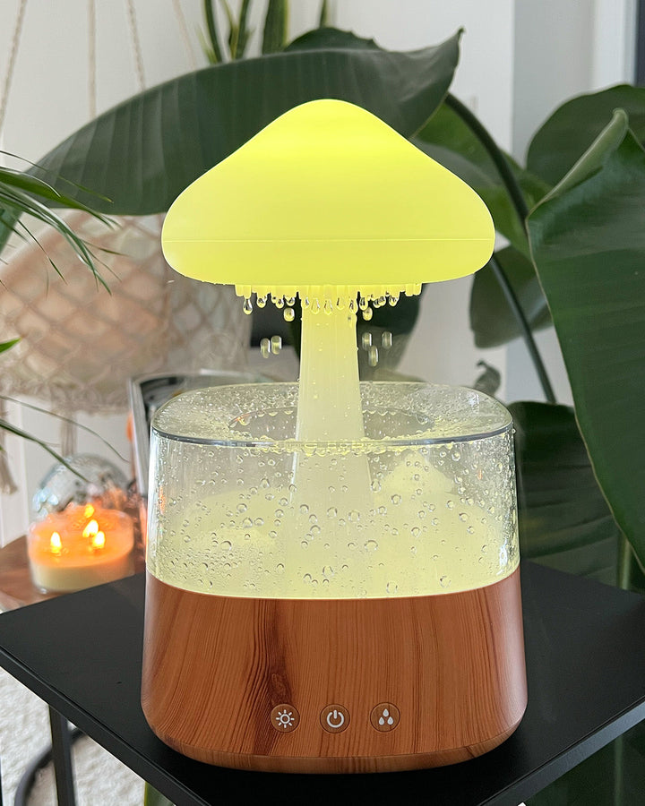 BowLift | Rain Cloud humidifier
