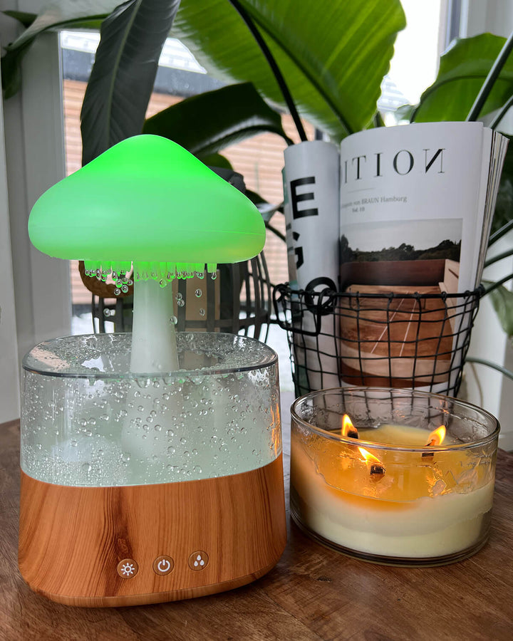 BowLift | Rain Cloud humidifier