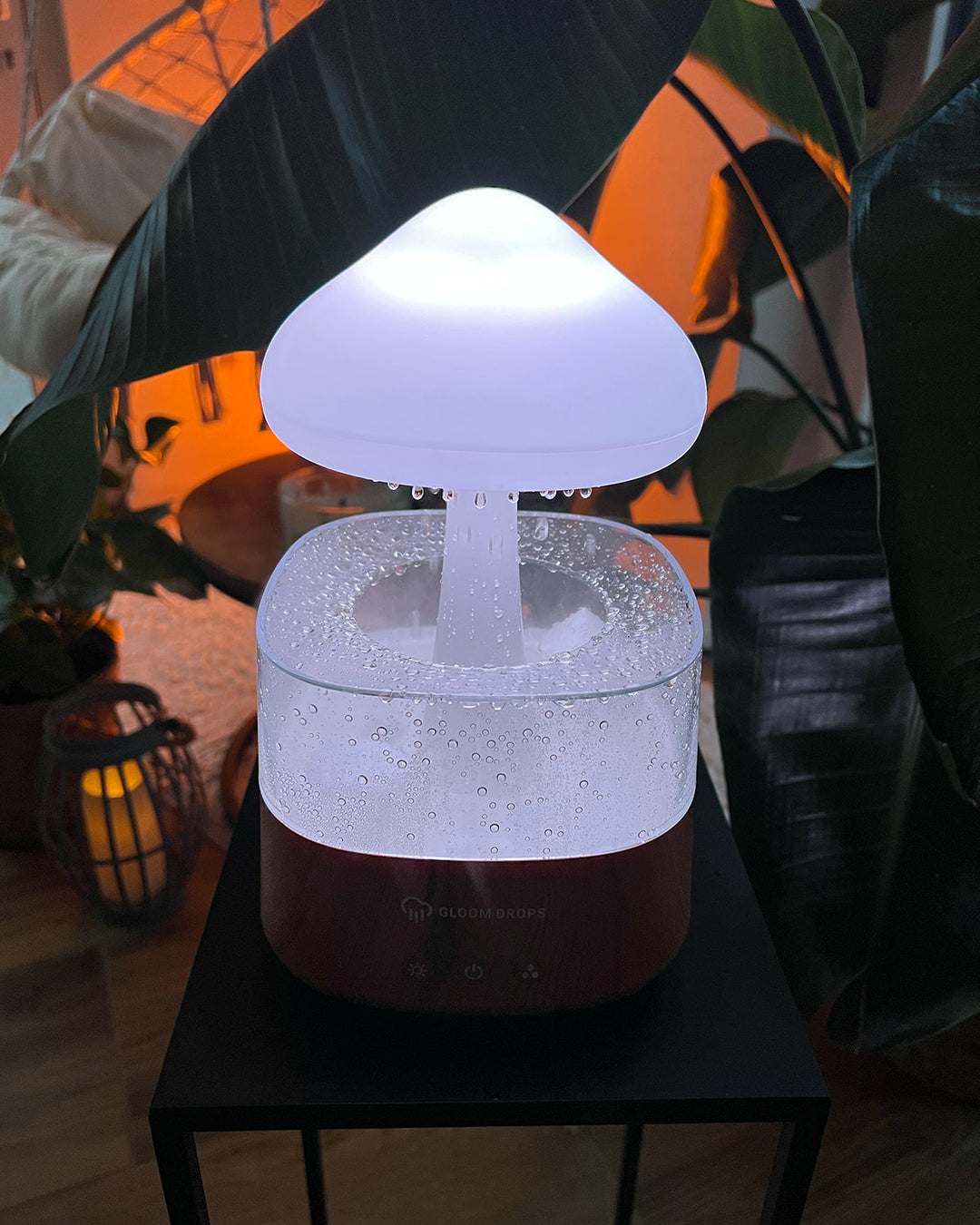 BowLift | Rain Cloud humidifier