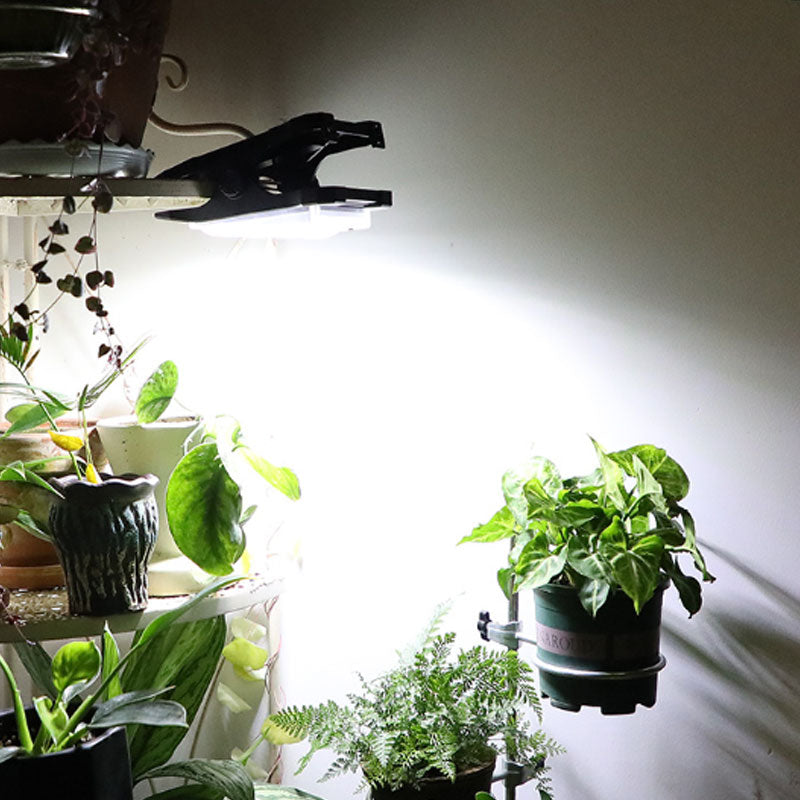 BowLift | Solar Outdoor Clip Light with Motion Sensor