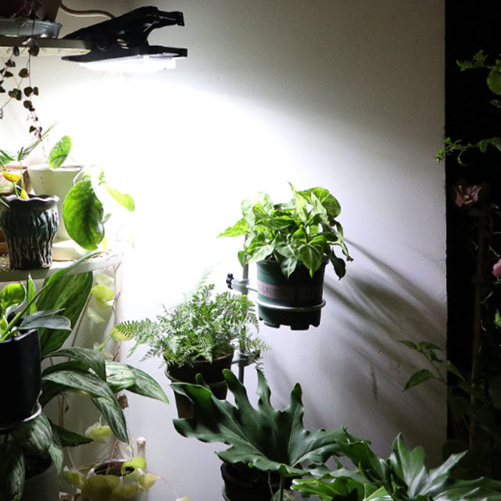 BowLift | Solar Outdoor Clip Light with Motion Sensor